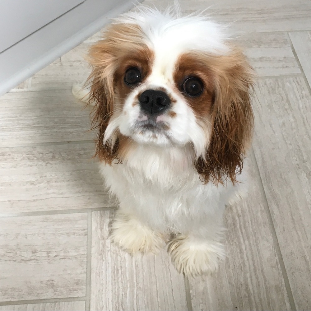 My baby Remy ๐ถ๐ท - Picture 14 of 16